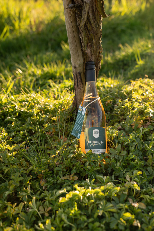 2023er Blanc de Noir "Hoffnungsfluss" – Bild 3